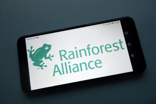 How Rainforest Alliance is Promoting Biodiversity Conservation in Rainforests